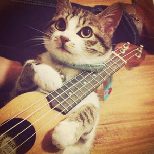 动漫❌触手❌3d❌网站
